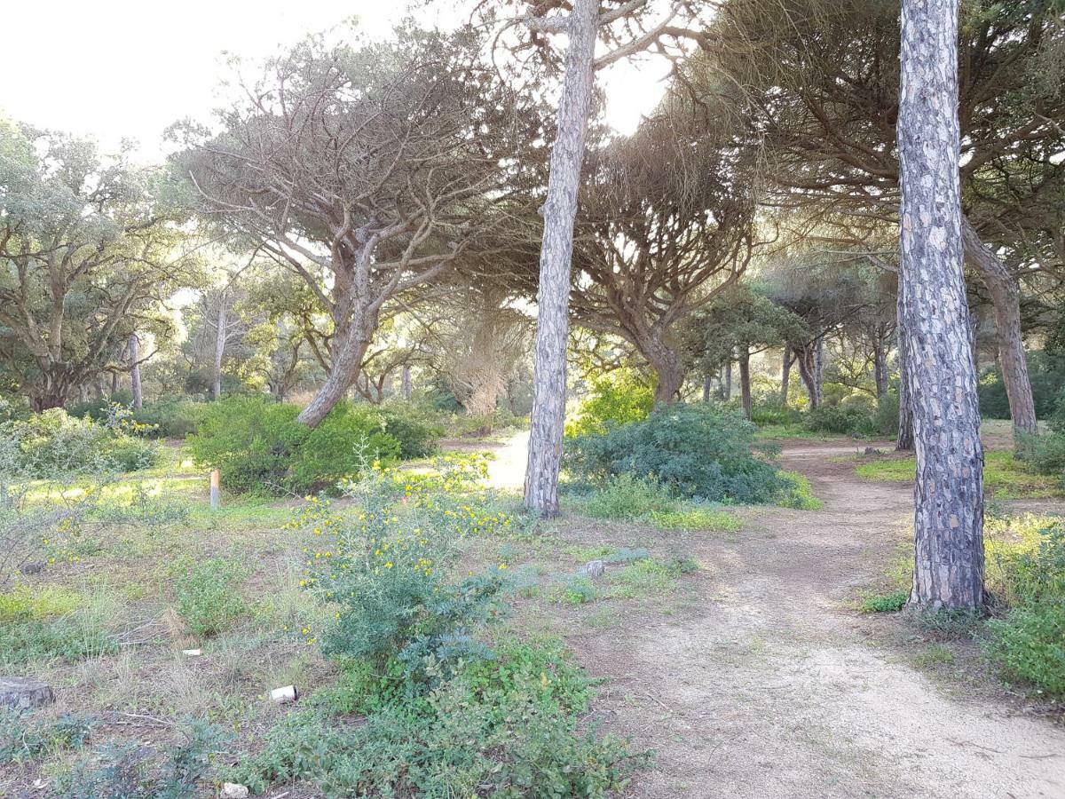 Apartamento Pinar Del Atlantico-La Barrosa チクラナ・デ・ラ・フロンテーラ エクステリア 写真